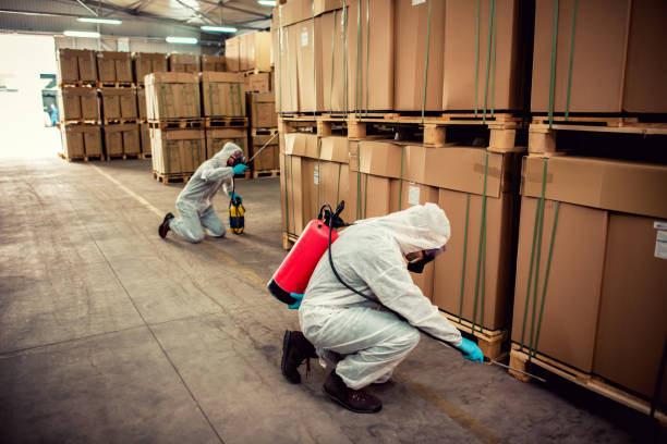 Best Pest Inspection Near Me  in Waterloo, IN