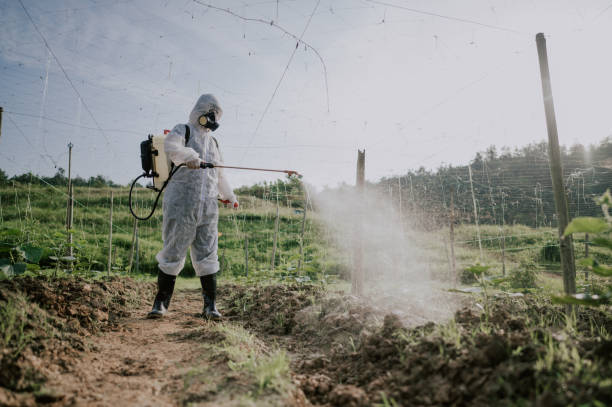 Best Pest Control Cost  in Waterloo, IN