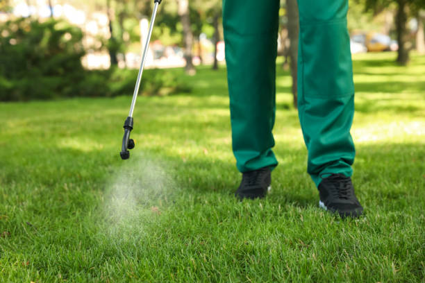 Best Mosquito Control Services  in Waterloo, IN