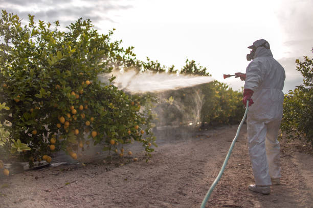 Best Bed Bug Extermination  in Waterloo, IN