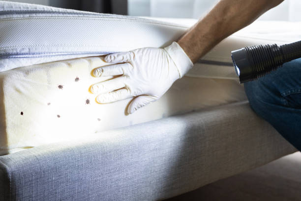 Best Local Pest Control Services  in Waterloo, IN