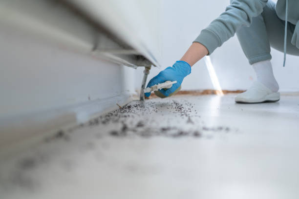 Best Emergency Pest Control  in Waterloo, IN